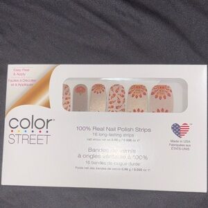 Color Street Nail Strips Feathered Friends